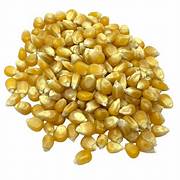 Maíz Curagua